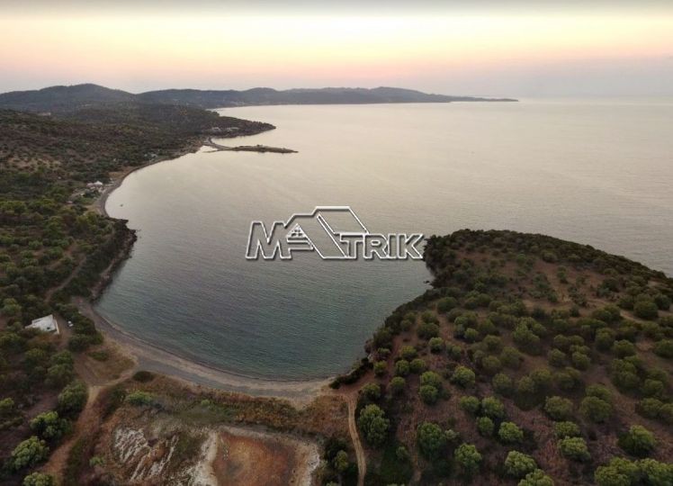 Αγροτεμάχια 13.400 τ.μ. πρός πώληση, Χαλκιδική, Παλλήνη
