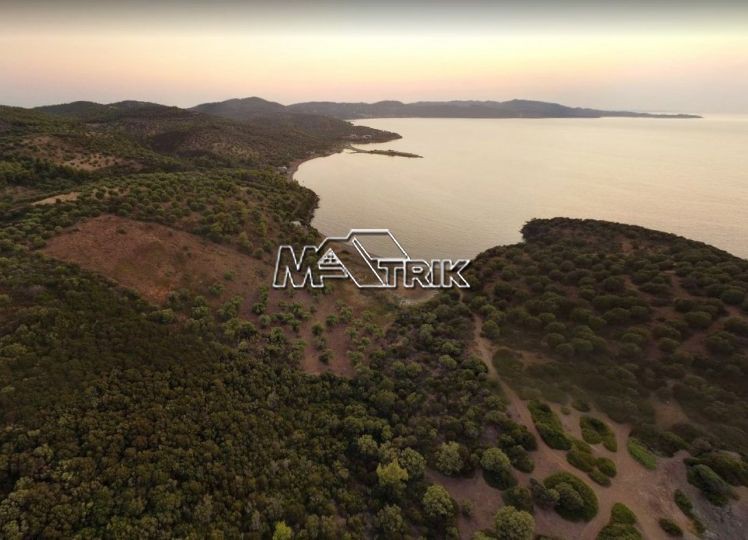 Αγροτεμάχια 13.400 τ.μ. πρός πώληση, Χαλκιδική, Παλλήνη