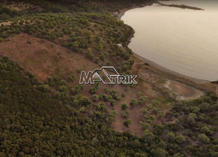 Αγροτεμάχια 13.400 τ.μ. πρός πώληση, Χαλκιδική, Παλλήνη