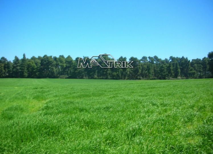 Αγροτεμάχια 103.500 τ.μ. πρός πώληση, Χαλκιδική, Κασσάνδρα