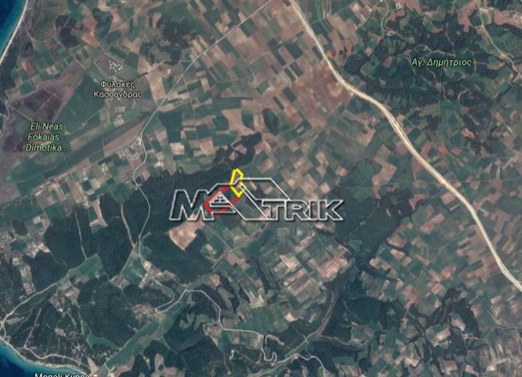 Αγροτεμάχια 103.500 τ.μ. πρός πώληση, Χαλκιδική, Κασσάνδρα