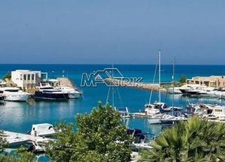 Οικόπεδο 16.500 τ.μ. για πώληση, Χαλκιδική, Κασσάνδρα-thumb-6