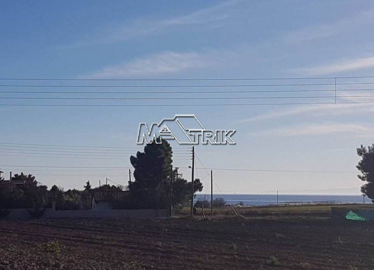 Αγροτεμάχια 8.778 τ.μ. προς πώληση, Κέντρο Επανομής