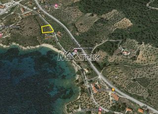 Αγροτεμάχια 4.002 τ.μ. προς πώληση, Ελιά Σιθωνίας-thumb-1