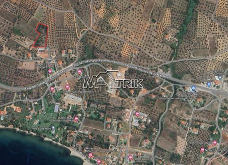 Αγροτεμάχια 4.020τ.μ. για πώληση-Σιθωνία » Νικήτη