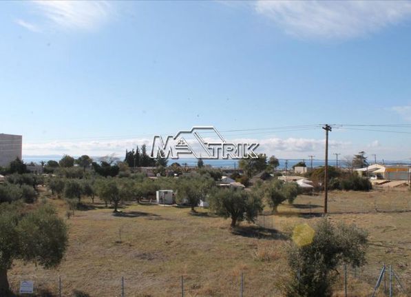 Οικόπεδο 1.115 τ.μ. για πώληση, Χαλκιδική, Πολύγυρος