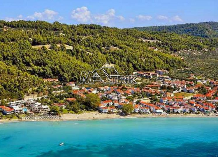 Οικόπεδο 5.000 τ.μ. προς πώληση, Χαλκιδική, Κασσάνδρα