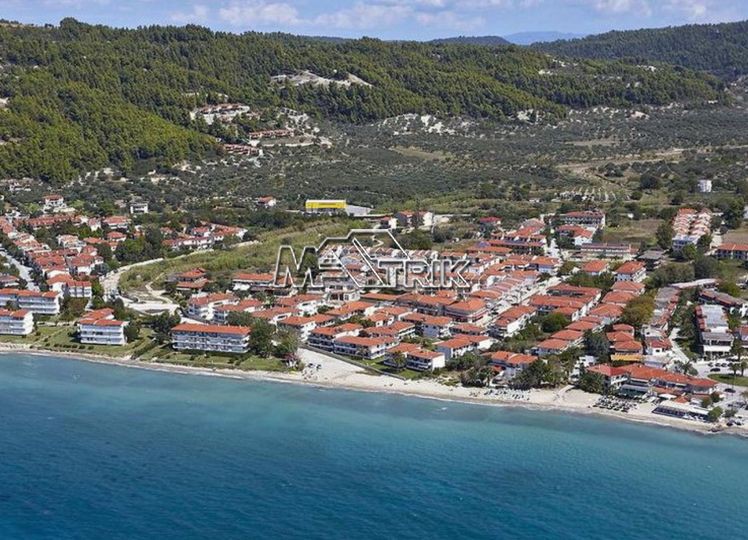 Οικόπεδο 5.000 τ.μ. προς πώληση, Χαλκιδική, Κασσάνδρα
