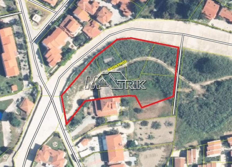 Οικόπεδο 5.000 τ.μ. προς πώληση, Χαλκιδική, Κασσάνδρα