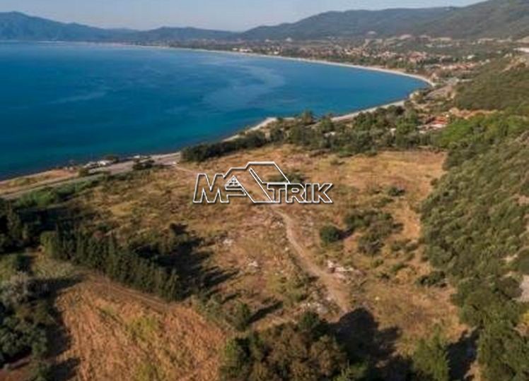 Αγροτεμάχια 68.000 τ.μ. προς πώληση, Ασπροβάλτα