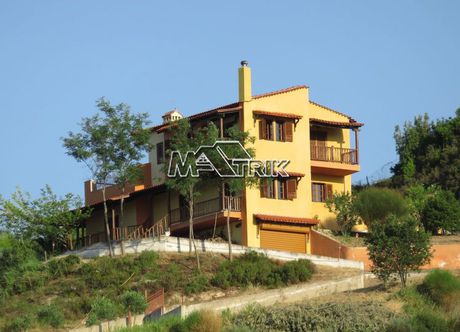Μονοκατοικία 320τ.μ. για πώληση-Παλλήνη » Πολύχρονο