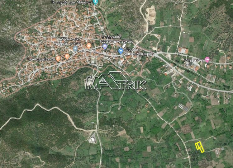 Αγροτεμάχια 2.900 τ.μ. προς πώληση, Συκιά Τορώνης