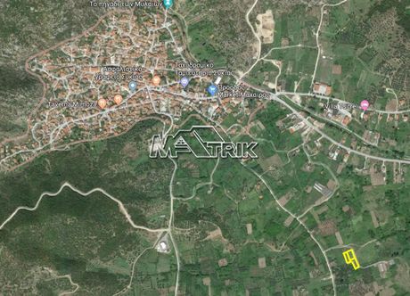Αγροτεμάχια 2.900τ.μ. για πώληση-Τορώνη » Συκιά