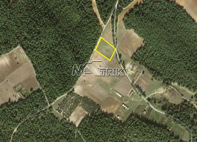 Αγροτεμάχια 12.412 τ.μ. προς πώληση, Σανή