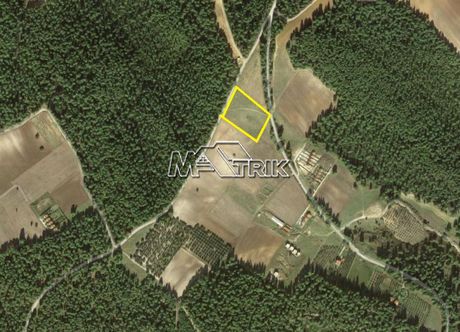 Αγροτεμάχια 12.412 τ.μ. για πώληση