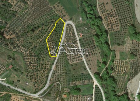 Parcel 4.510sqm for sale-Stagiron - Akanthou » Ierissos