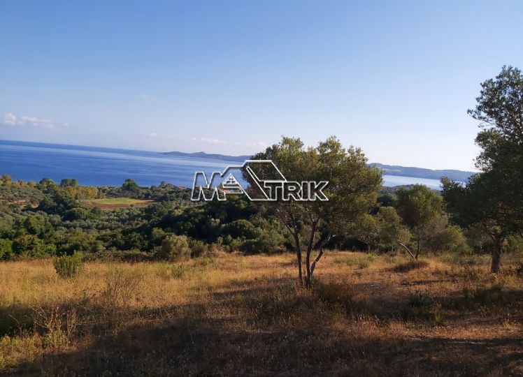 Αγροτεμάχια 5.220 τ.μ. προς πώληση, Νέα Ρόδα