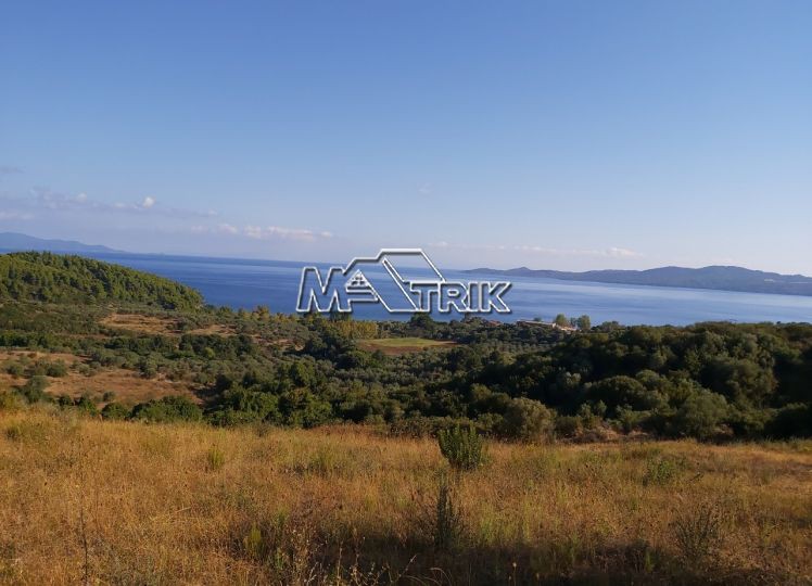 Αγροτεμάχια 5.220 τ.μ. προς πώληση, Νέα Ρόδα
