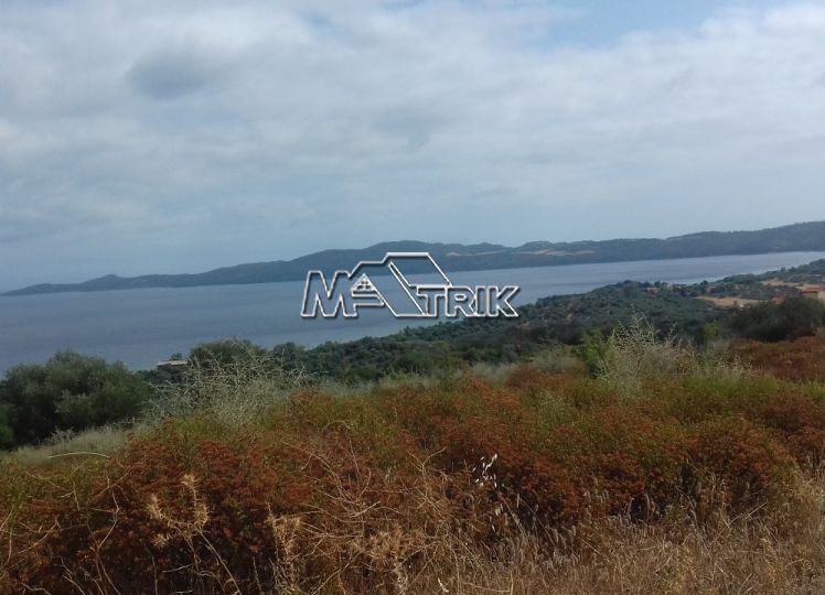Αγροτεμάχια 5.220 τ.μ. προς πώληση, Νέα Ρόδα