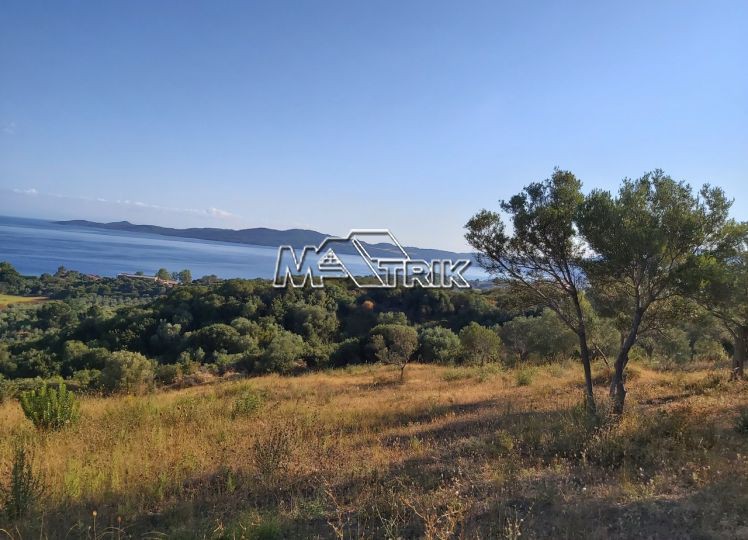 Αγροτεμάχια 5.220 τ.μ. προς πώληση, Νέα Ρόδα