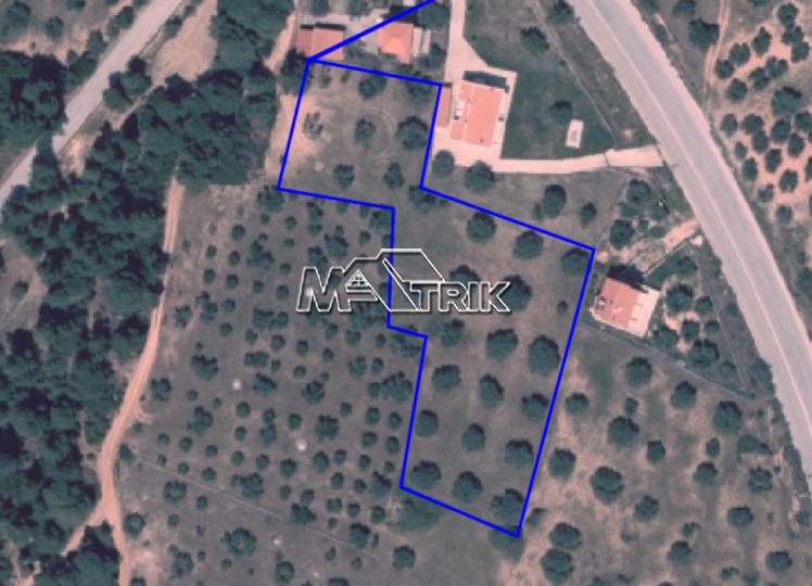Αγροτεμάχια 4.600 τ.μ. προς πώληση, Άγιος Νικόλαος Σιθωνίας