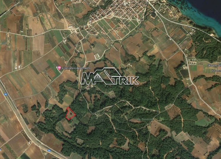 Αγροτεμάχια 13.000 τ.μ. προς πώληση, Νέα Φώκαια Κασσάνδρας