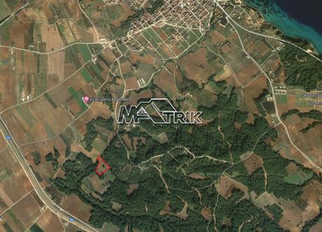 Parcel 13.000sqm for sale-Kassandra » Nea Fokaia