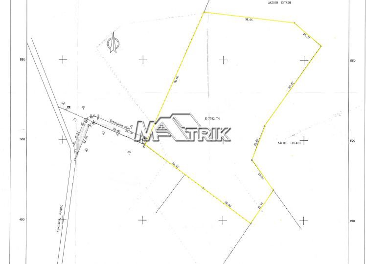 Αγροτεμάχια 7.780 τ.μ. πρός πώληση, Χαλκιδική, Παλλήνη