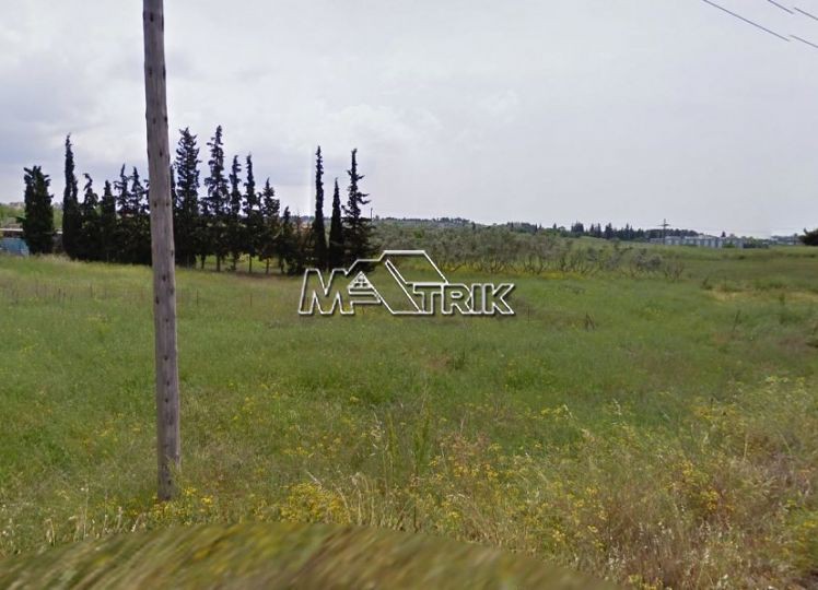 Αγροτεμάχια 1.685 τ.μ. πρός πώληση, Θεσσαλονίκη - Περιφ/Κοί Δήμοι, Πυλαία