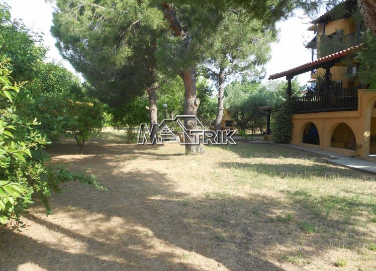 Οικόπεδο 2.028 τ.μ. προς πώληση, Νικήτη