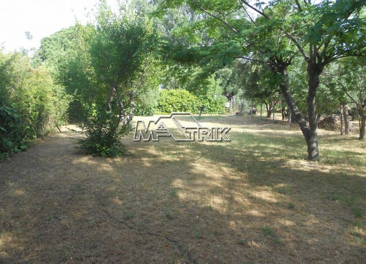 Οικόπεδο 2.028 τ.μ. προς πώληση, Νικήτη
