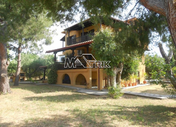 Οικόπεδο 2.028 τ.μ. προς πώληση, Νικήτη