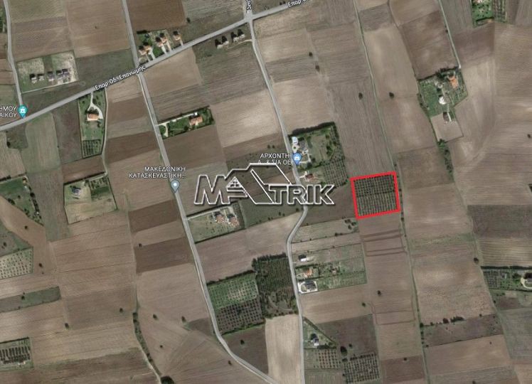 Αγροτεμάχια 8.400 τ.μ. προς πώληση, Κέντρο Επανομής
