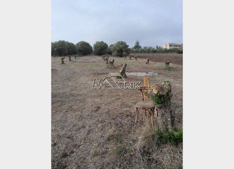 Αγροτεμάχια 8.400 τ.μ. προς πώληση, Κέντρο Επανομής