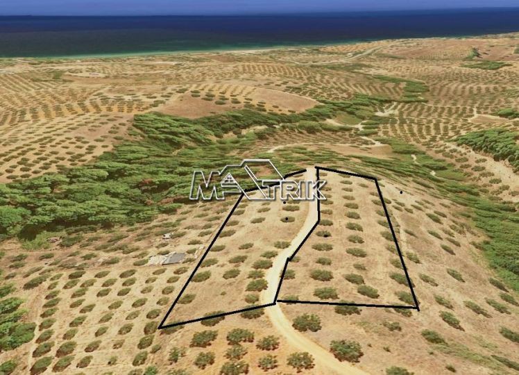 Αγροτεμάχια 4.414 τ.μ. προς πώληση, Νικήτη