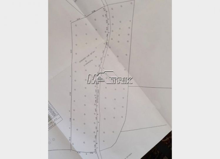 Αγροτεμάχια 4.414 τ.μ. προς πώληση, Νικήτη