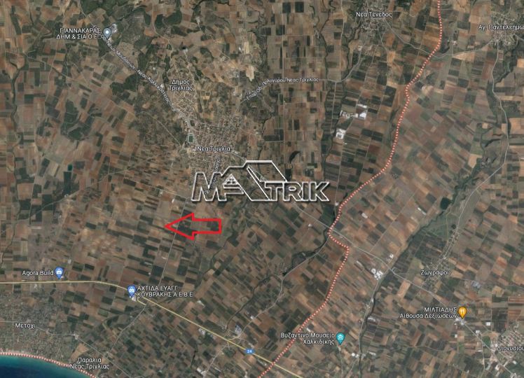 Αγροτεμάχια 20.000 τ.μ. προς πώληση, Νέα Τρίγλια