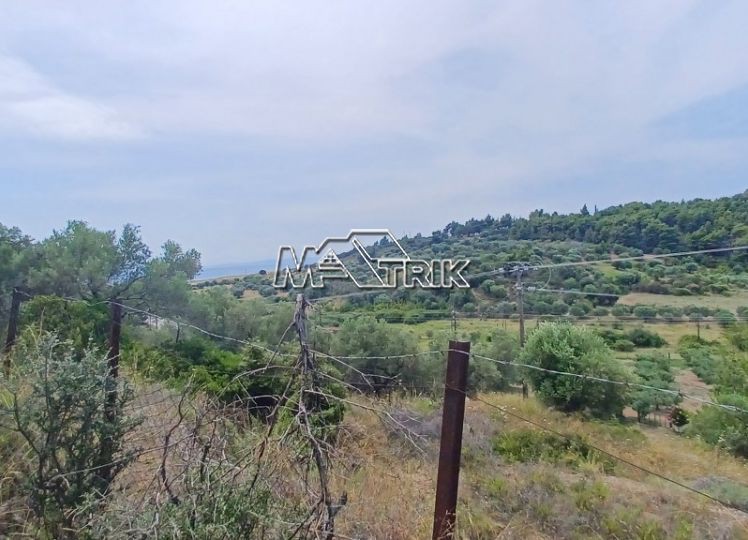 Αγροτεμάχια 789 τ.μ. προς πώληση, Νικήτη