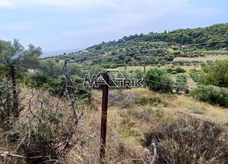 Αγροτεμάχια 789 τ.μ. προς πώληση, Νικήτη