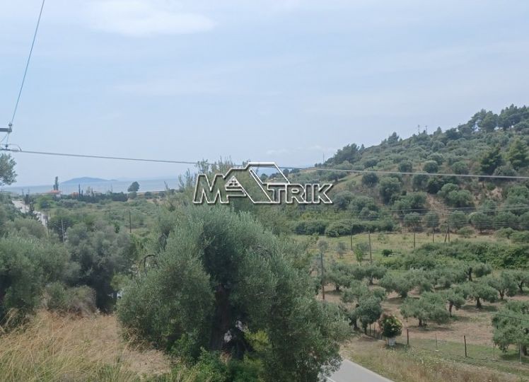 Αγροτεμάχια 789 τ.μ. προς πώληση, Νικήτη