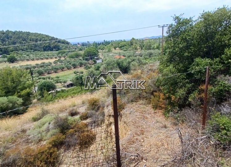 Αγροτεμάχια 789 τ.μ. προς πώληση, Νικήτη