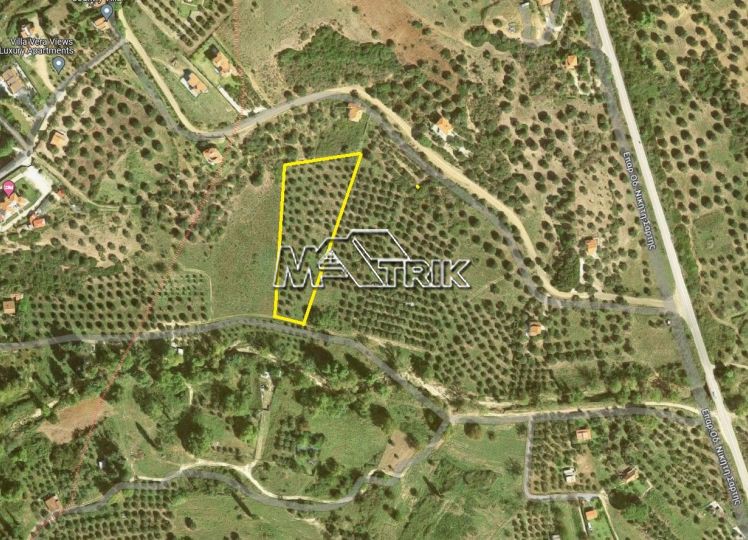 Αγροτεμάχια 7.083 τ.μ. προς πώληση, Νικήτη