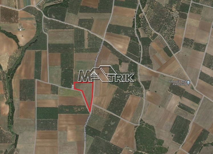 Αγροτεμάχια 17.495 τ.μ. προς πώληση, Ελαιοχώρια