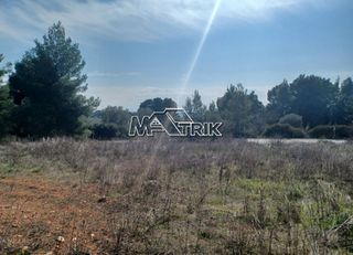 Αγροτεμάχια 5.200 τ.μ. για πώληση, Χαλκιδική, Ορμύλια-thumb-8