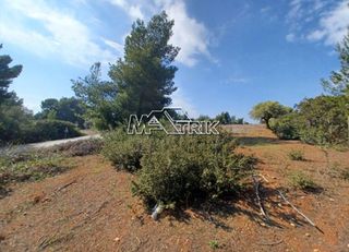 Αγροτεμάχια 5.200 τ.μ. για πώληση, Χαλκιδική, Ορμύλια-thumb-4