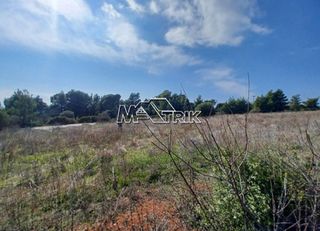 Αγροτεμάχια 5.200 τ.μ. για πώληση, Χαλκιδική, Ορμύλια-thumb-9