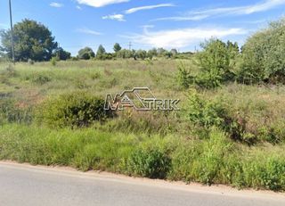 Αγροτεμάχια 5.200 τ.μ. για πώληση, Χαλκιδική, Ορμύλια-thumb-3