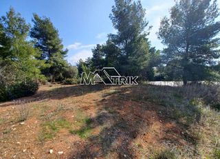 Αγροτεμάχια 5.200 τ.μ. για πώληση, Χαλκιδική, Ορμύλια-thumb-6