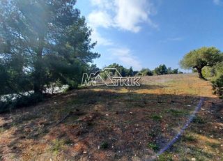 Αγροτεμάχια 5.200 τ.μ. για πώληση, Χαλκιδική, Ορμύλια-thumb-5