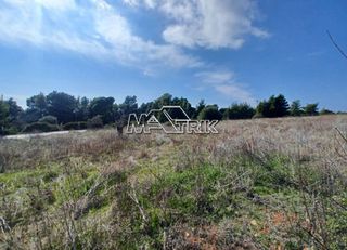 Αγροτεμάχια 5.200 τ.μ. για πώληση, Χαλκιδική, Ορμύλια-thumb-10